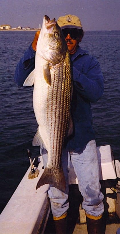 Striper