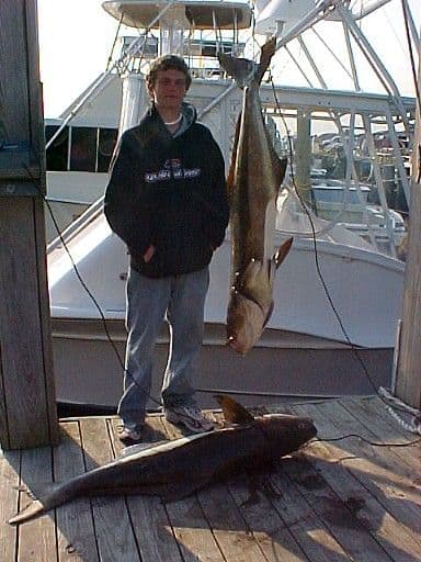 June 2, 2003