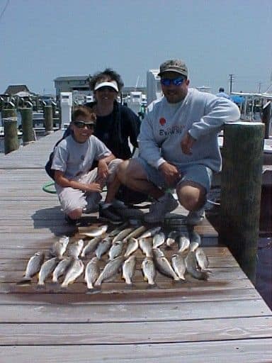 June 2, 2003